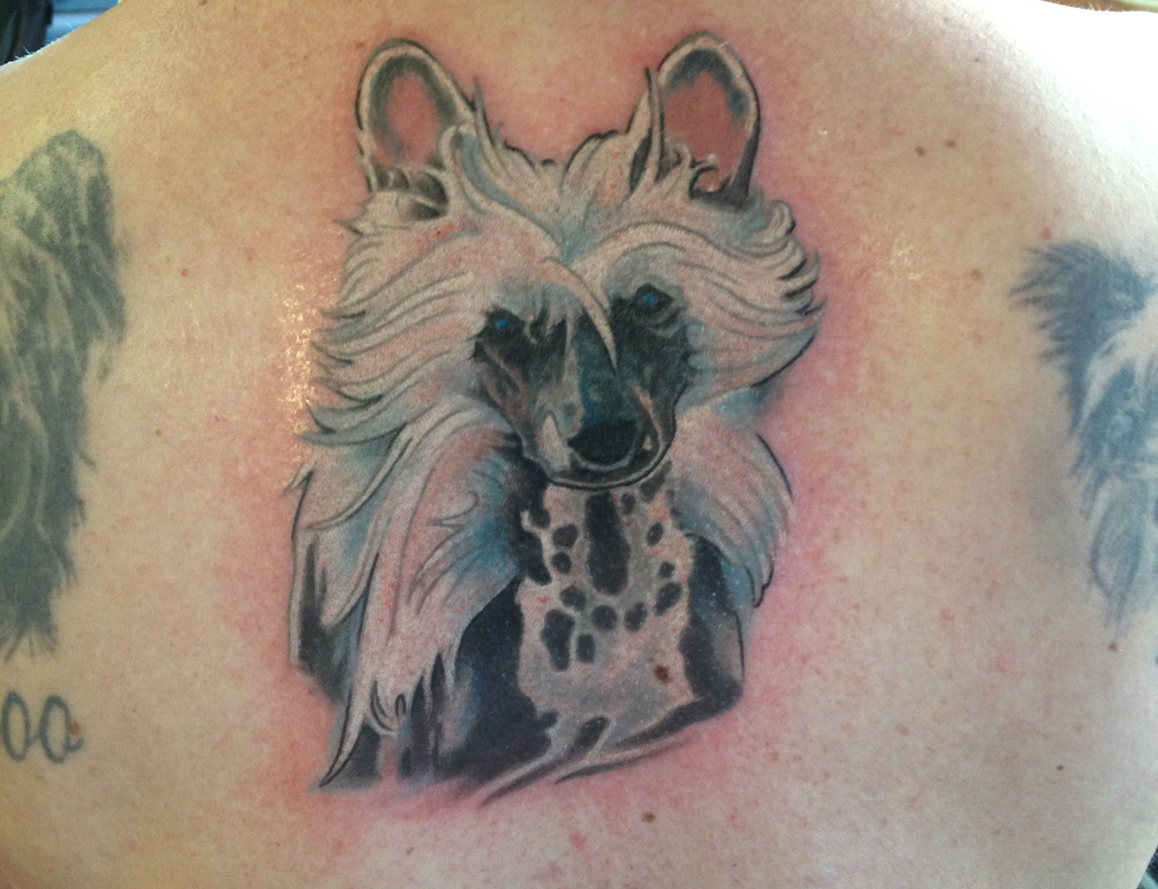 von/done by Kenny Holland